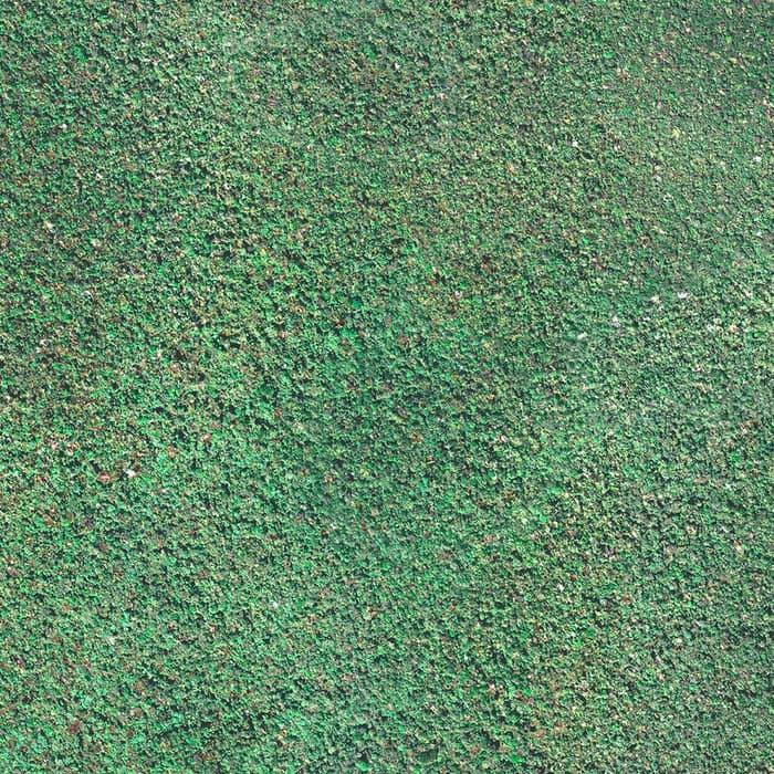 Textura del tono Floresta